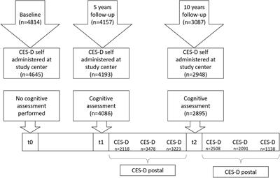 Fluctuation of depressive symptoms in cognitively unimpaired participants and the risk of mild cognitive impairment 5 years later: Results of the Heinz Nixdorf Recall study